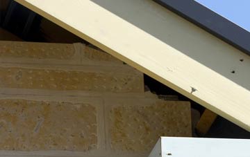 soffit repair Hopesgate